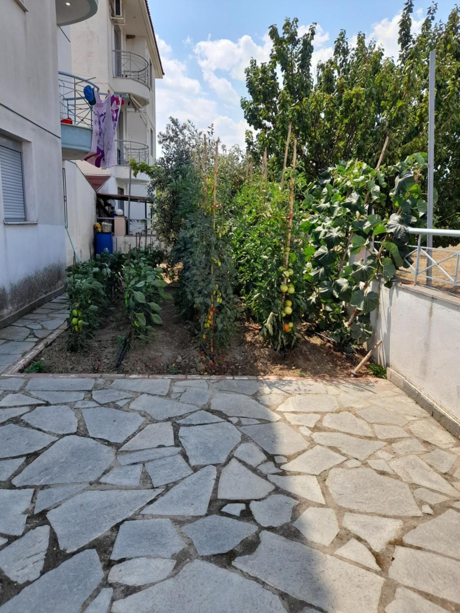 Dominikis Appartment Néa Péramos المظهر الخارجي الصورة